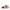 Jocelyn 53 - Beige Combi - Women's