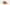 Baby Bixbee - Chestnut - Infants