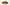Tazz II - Chestnut - Women's